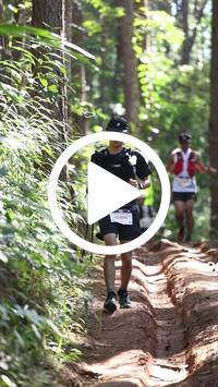 BIB:  <button type="button" onclick="openModal(26569482)" class="btn btn-primary btn-sm float-right" data-toggle="modal" data-target=".modal-high-quality">
                <i class="fa fa-download"></i> Download
                </button>